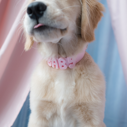 Springland Pets Waterproof Dog Collar