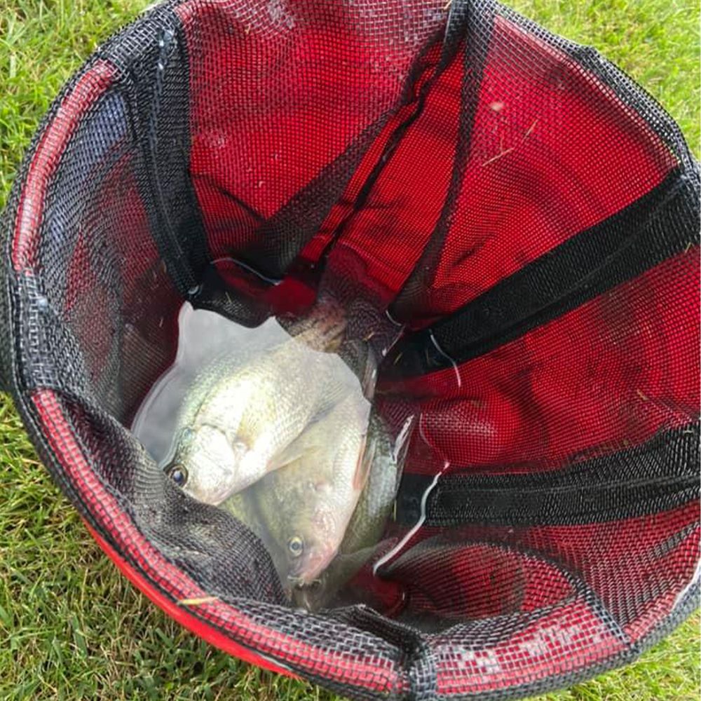 Lakewood Products  - Treasure Chest - Mesh Live Well Bag- 2 Sizes Available