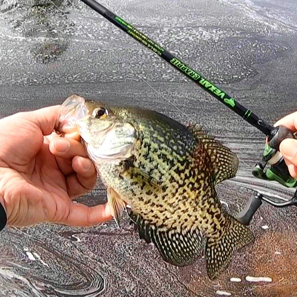 Vexan Crappie Rods & Panfish Rods