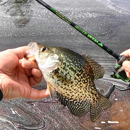 Vexan Crappie Rods & Panfish Rods