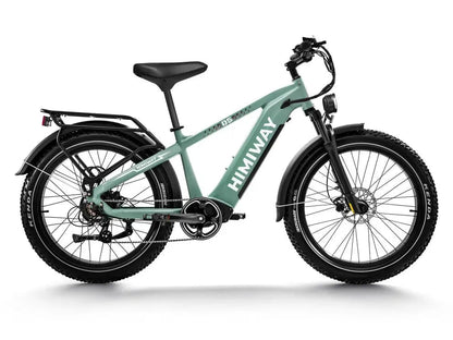 D5(Zebra) / All - terrain Electric Fat Bike - Angler's Pro Tackle & Outdoors