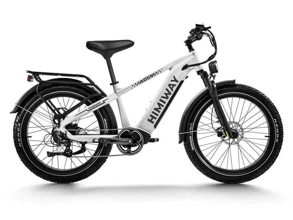 D5(Zebra) / All - terrain Electric Fat Bike - Angler's Pro Tackle & Outdoors