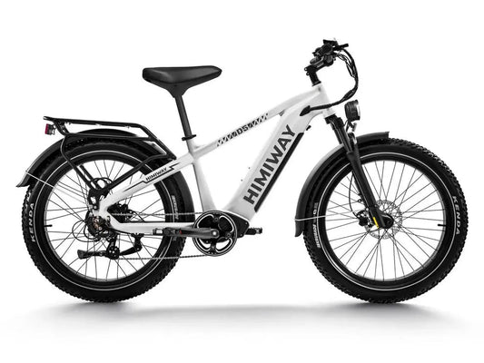 D5(Zebra) / All - terrain Electric Fat Bike - Angler's Pro Tackle & Outdoors