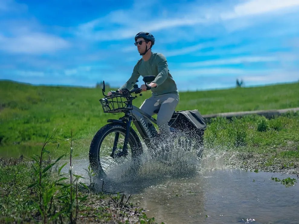 D5(Zebra) / All - terrain Electric Fat Bike - Angler's Pro Tackle & Outdoors