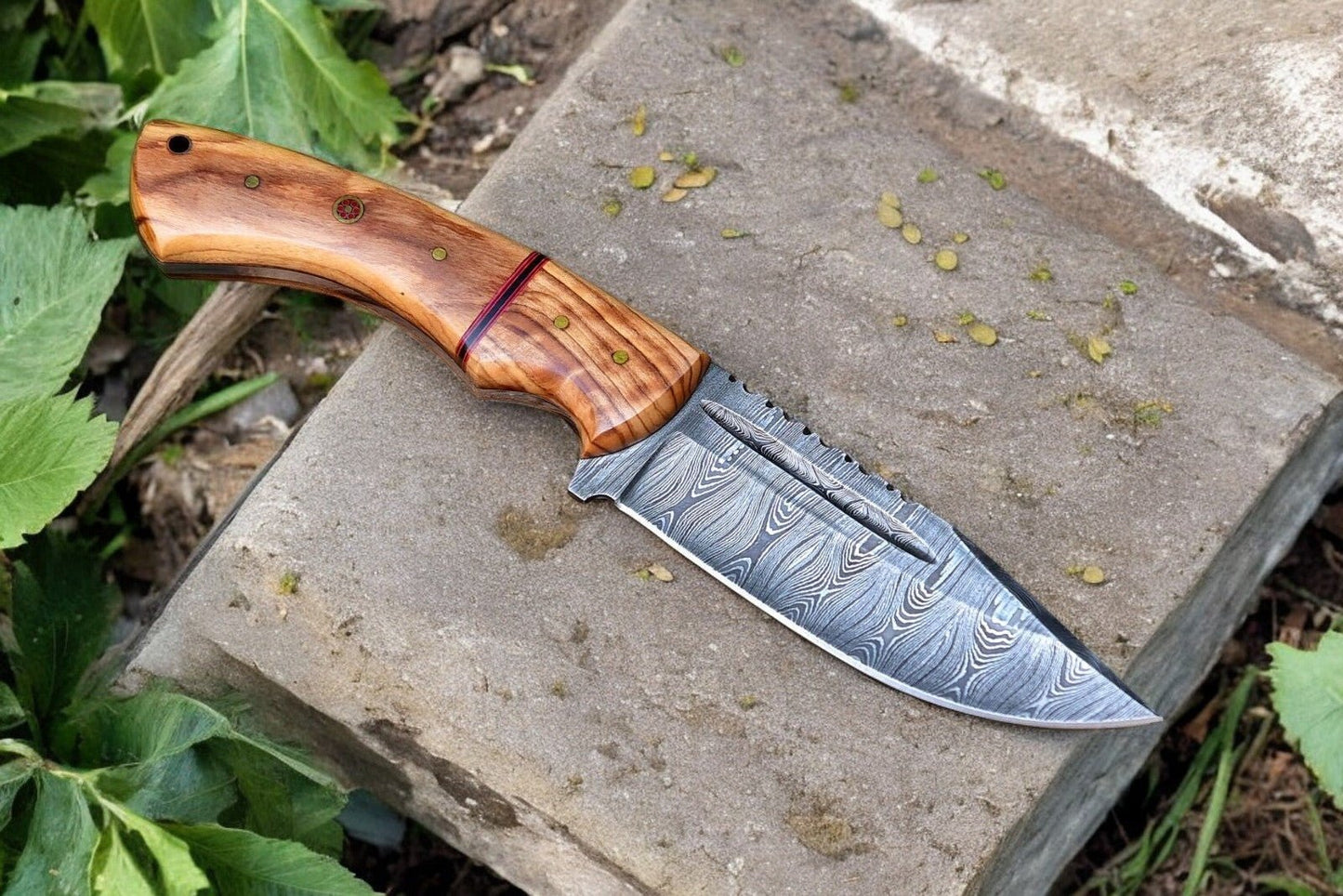 Damascus Knife Store Custom Handmade Damascus Hunting Knife – Olive Wood Handle - Angler's Pro Tackle & Outdoors