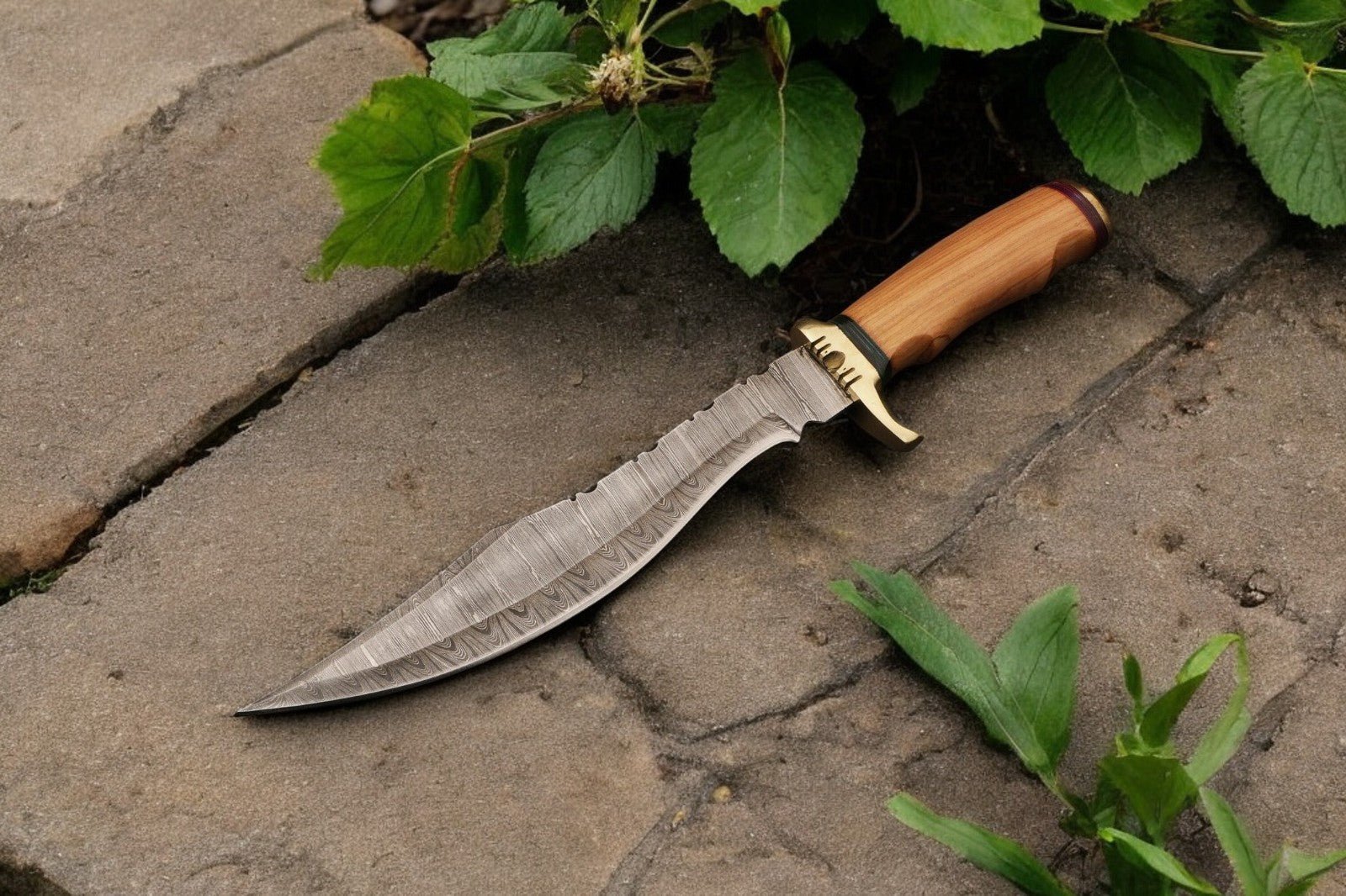 Damascus Knife Store Handmade Damascus Bowie Knife with Olive Wood Handle - Angler's Pro Tackle & Outdoors