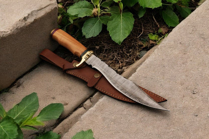Damascus Knife Store Handmade Damascus Bowie Knife with Olive Wood Handle - Angler's Pro Tackle & Outdoors