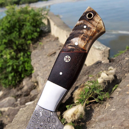 Damascus Knife Store Handmade Damascus Hunting Knife | Sheep Horn & Rosewood - Angler's Pro Tackle & Outdoors
