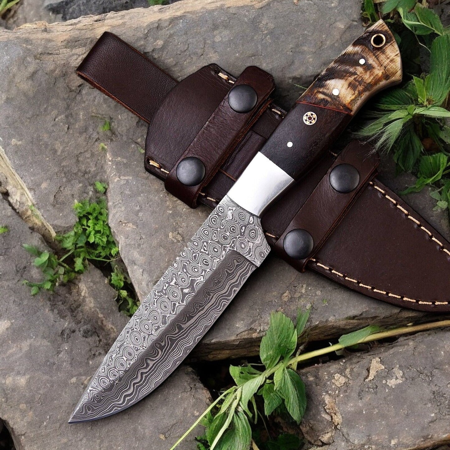Damascus Knife Store Handmade Damascus Hunting Knife | Sheep Horn & Rosewood - Angler's Pro Tackle & Outdoors