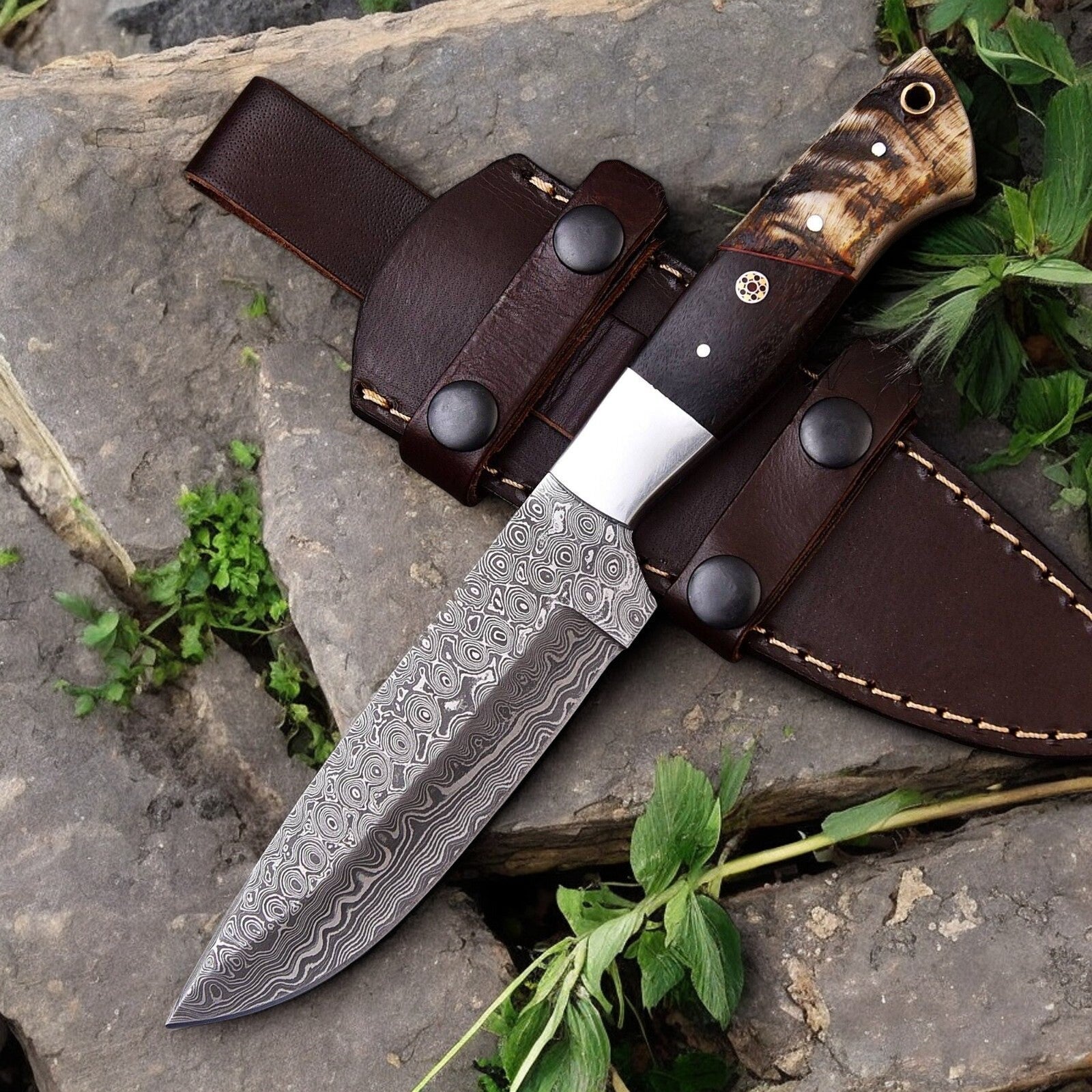 Damascus Knife Store Handmade Damascus Hunting Knife | Sheep Horn & Rosewood - Angler's Pro Tackle & Outdoors