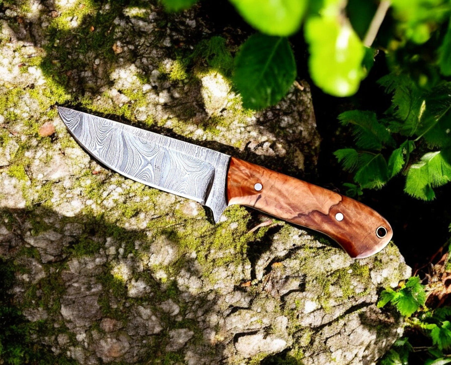 Damascus Knife Store Handmade Damascus Steel Skinning Knife with Olive Wood Handle - Angler's Pro Tackle & Outdoors