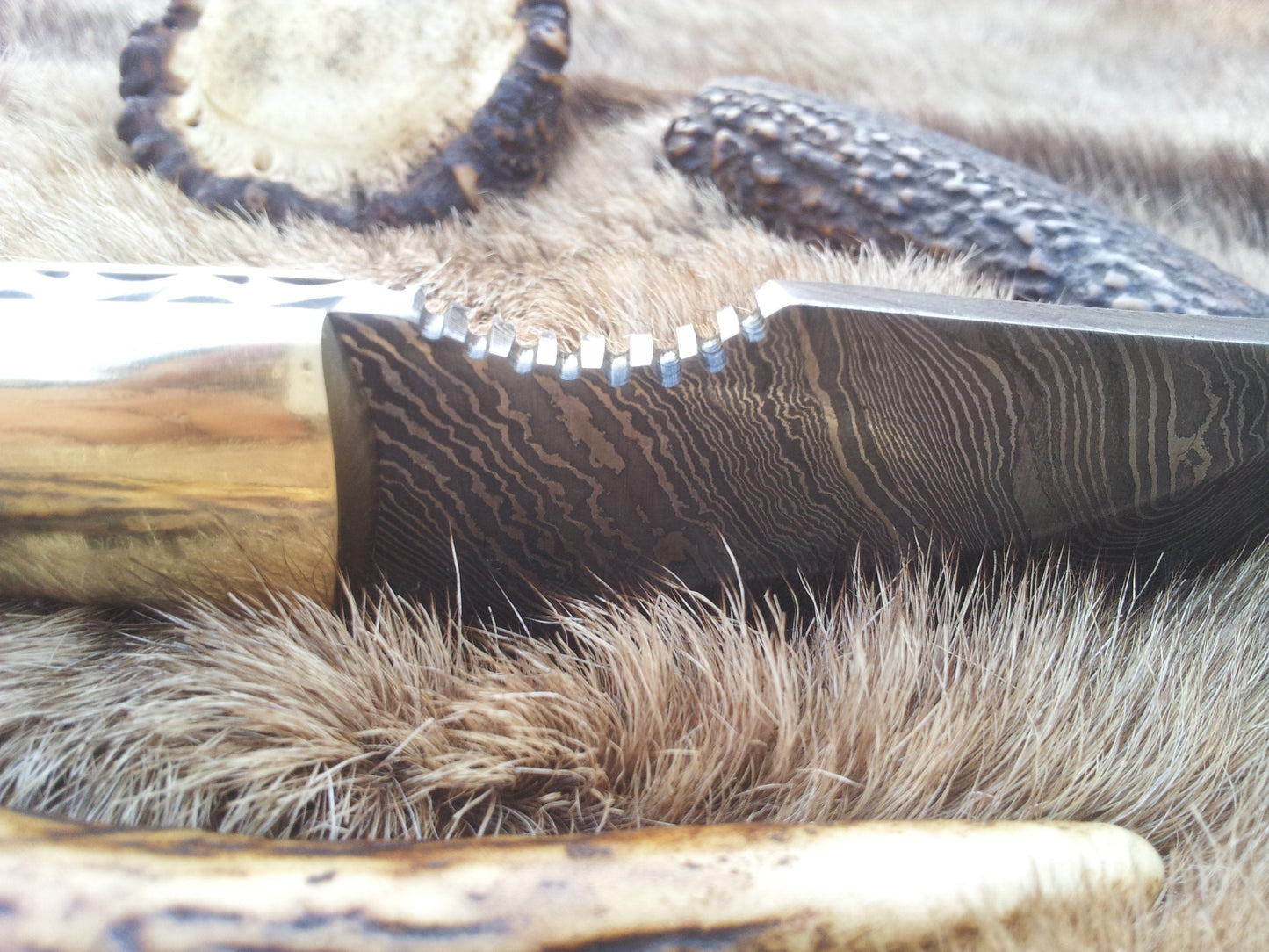 KBS Knives Custom Damascus Steel Field Dressing Deer Skinny Knife – 7.25 Inch Drop Point Blade with Antler Horn Handle and Brass Bolster