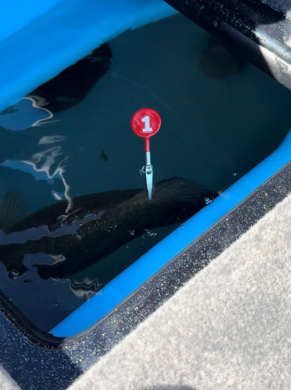 DD26 Fishing CULL ID tags - Angler's Pro Tackle & Outdoors