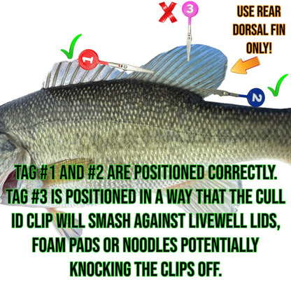 DD26 Fishing CULL ID tags - Angler's Pro Tackle & Outdoors