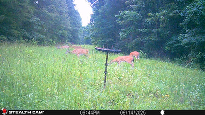 Air Boss Buck Weed ... Deer Love it!