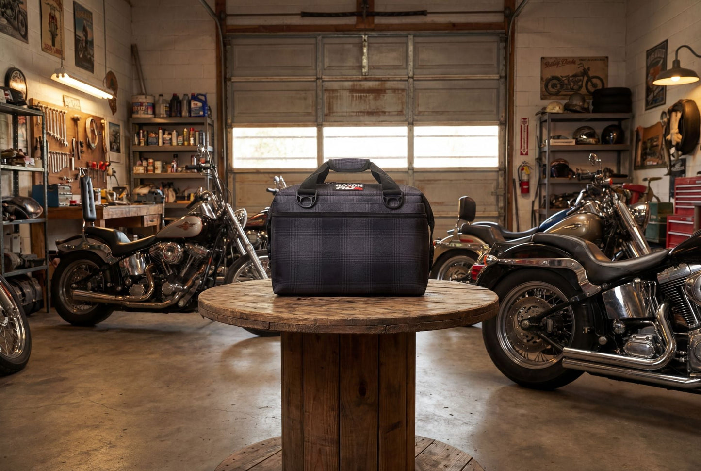 AO Coolers DIXXON x AO 24 Can Cooler