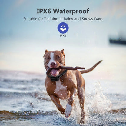 Pawious - Dog Training E-Collar T720 for Hunting - 3300ft Range, IPX68 Waterproof, LED Mode, 2 Dog Set