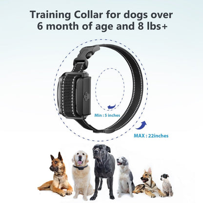Pawious - Dog Training E-Collar T720 for Hunting - 3300ft Range, IPX68 Waterproof, LED Mode, 2 Dog Set
