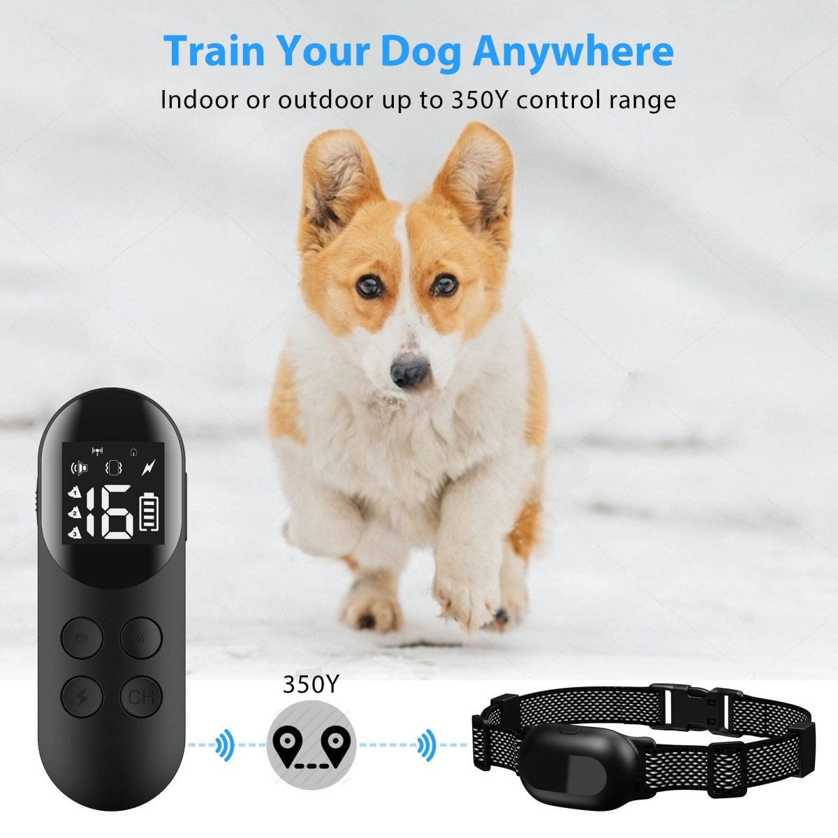Pawious - Dog Training E-Collar with Remote T200 Black - IPX68 Waterproof, 1000ft Range