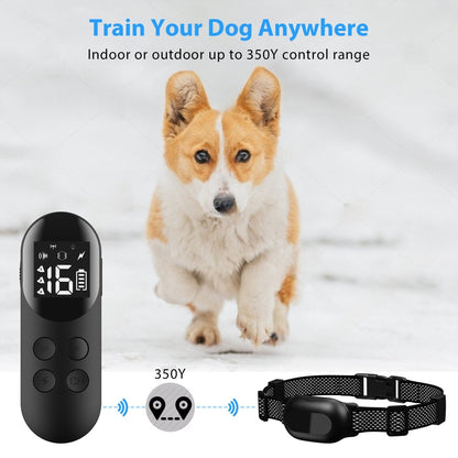 Pawious - Dog Training E-Collar with Remote T200 Black - IPX68 Waterproof, 1000ft Range