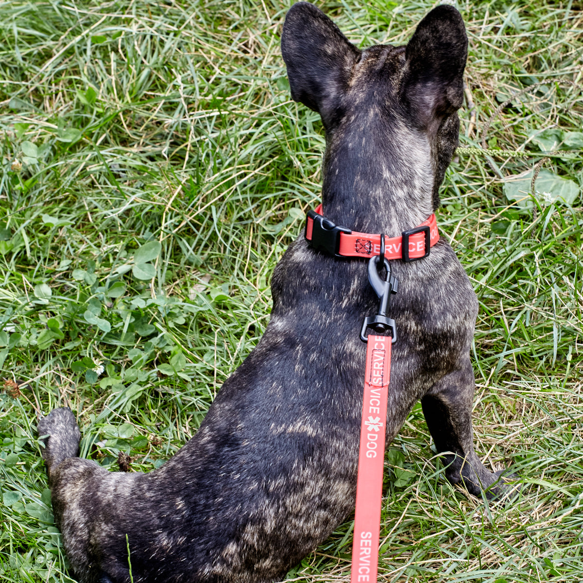 Dogline Biothane Service Dog Collar Or Leash - Angler's Pro Tackle & Outdoors