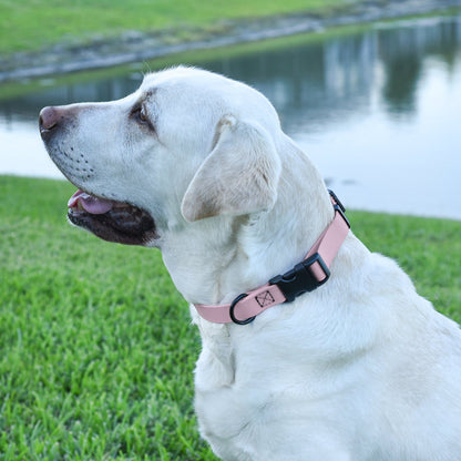 Dogline Biothane Waterproof Dog Collar with Quick Release Buckle - Angler's Pro Tackle & Outdoors