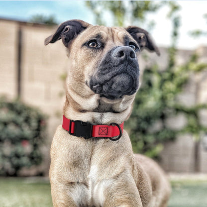 Dogline Biothane Waterproof Dog Collar with Quick Release Buckle - Angler's Pro Tackle & Outdoors