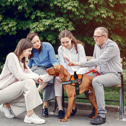 Dogline ESA Dog 3D Rubber Patches - Angler's Pro Tackle & Outdoors