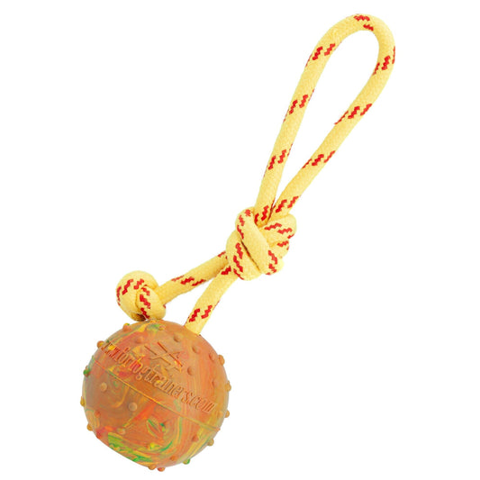 Dogline FDT Solid Rubber Dog Ball on Rope, Large - Diameter 2.75" (7 cm) - Angler's Pro Tackle & Outdoors