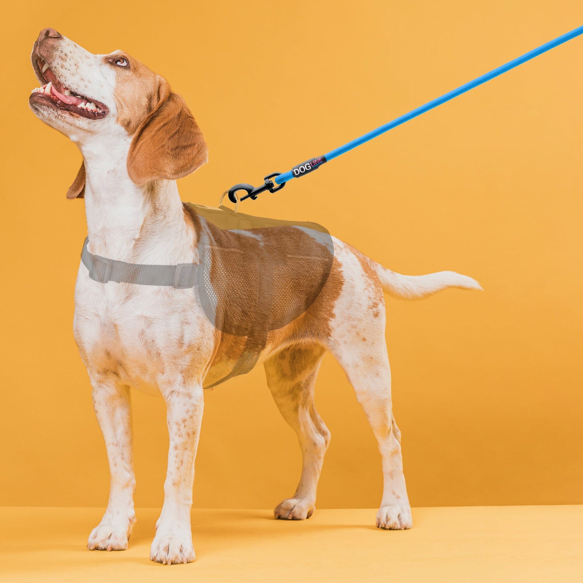 Dogline Nylon Round Lead - Angler's Pro Tackle & Outdoors