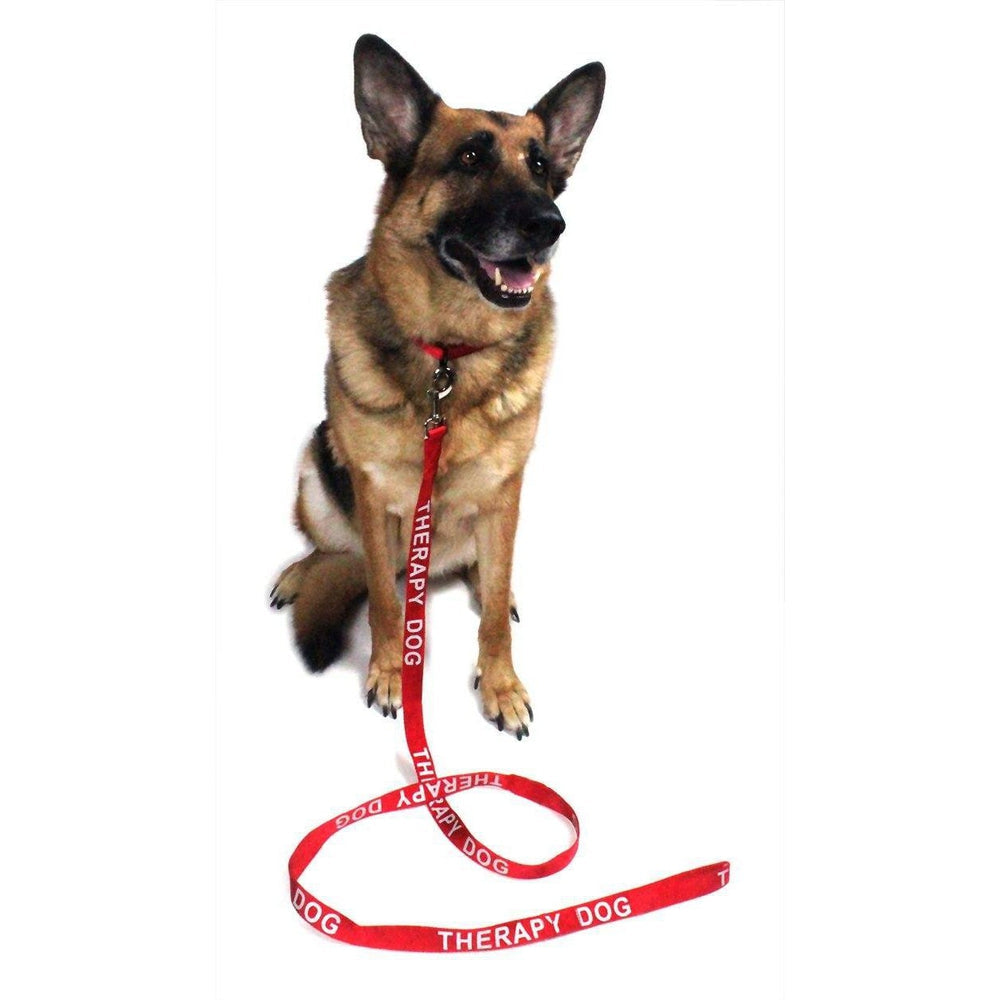 Dogline Reflective Nylon Leash - Angler's Pro Tackle & Outdoors