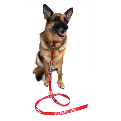 Dogline Reflective Nylon Leash - Angler's Pro Tackle & Outdoors