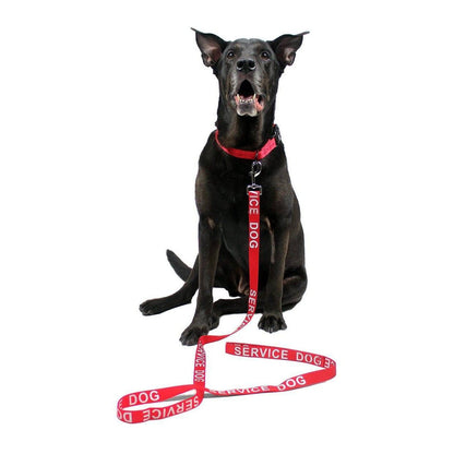 Dogline Reflective Nylon Leash - Angler's Pro Tackle & Outdoors