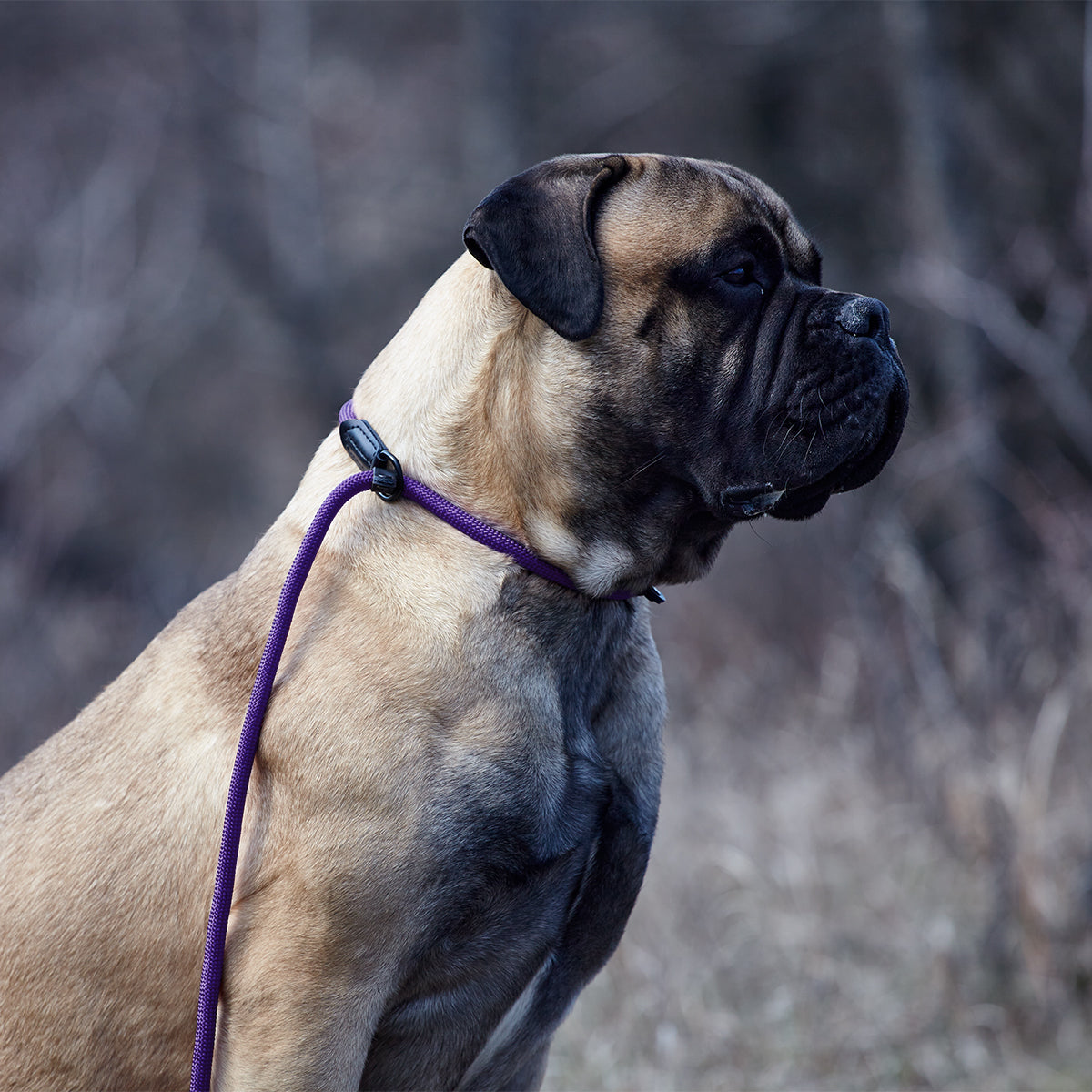 Dogline Round Nylon Slip Lead - Angler's Pro Tackle & Outdoors