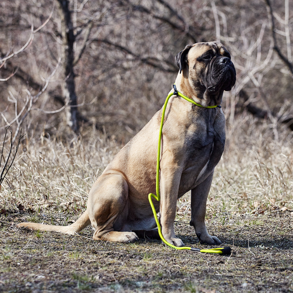 Dogline Round Nylon Slip Lead - Angler's Pro Tackle & Outdoors