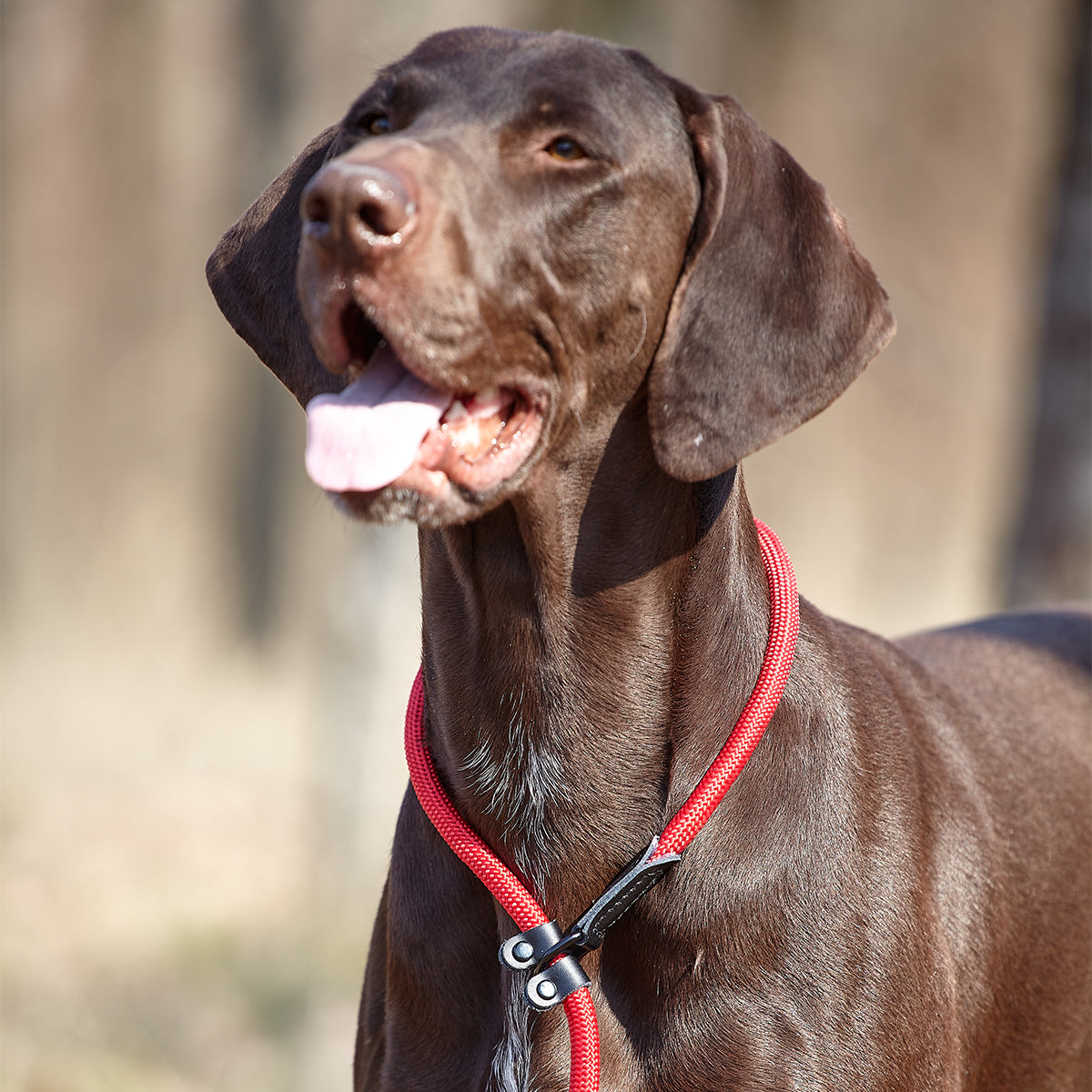 Dogline Round Nylon Slip Lead - Angler's Pro Tackle & Outdoors