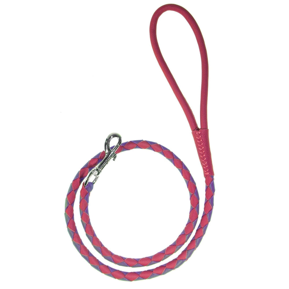 Dogline Soft Leather Dual - Color Braided Round Lead - Angler's Pro Tackle & Outdoors