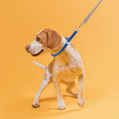 Dogline Soft Leather Round Martingale Collar - Angler's Pro Tackle & Outdoors