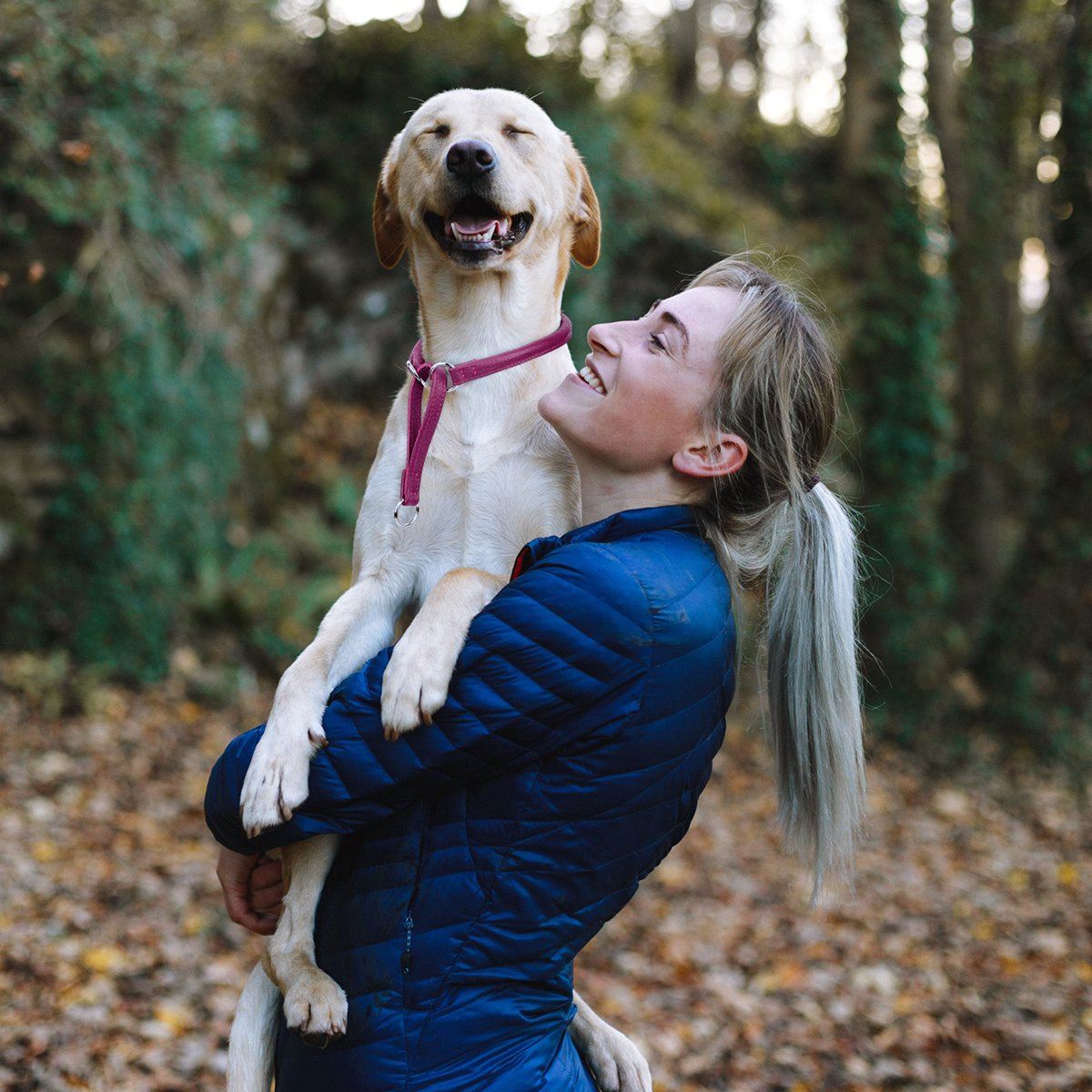 Dogline Soft Leather Round Martingale Collar - Angler's Pro Tackle & Outdoors