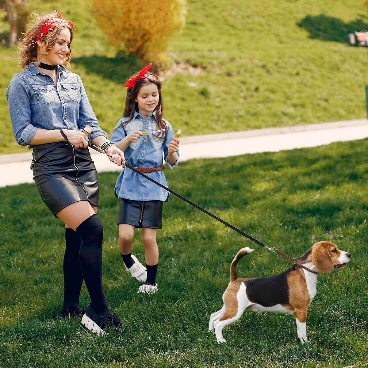 Dogline Soft Leather Round Martingale Collar - Angler's Pro Tackle & Outdoors