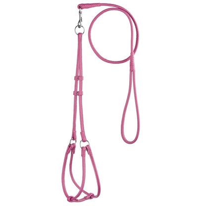 Dogline Soft Leather Round Step - In Harness + Round Lead - Angler's Pro Tackle & Outdoors