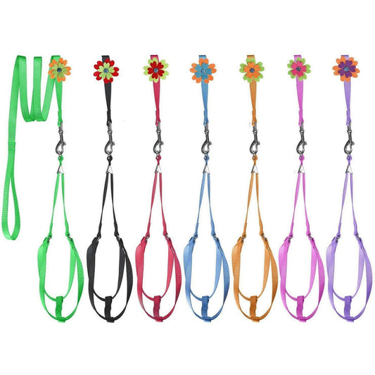 Dogline Step - In Nylon Harness + Optional Flower Leash - Angler's Pro Tackle & Outdoors
