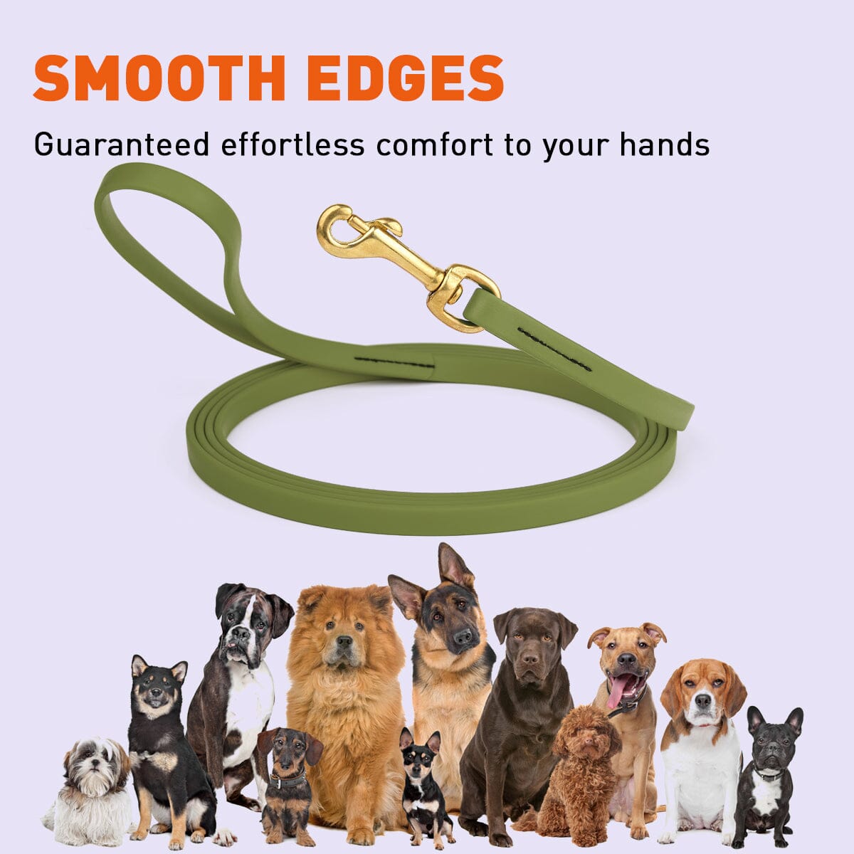 Dogline Viper Biothane Long Line 33 ft Lead with Brass Hardware - Angler's Pro Tackle & Outdoors