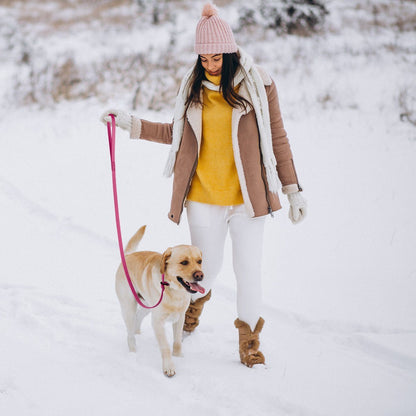 Dogline Viper Biothane Long Line 33 ft Lead with Brass Hardware - Angler's Pro Tackle & Outdoors