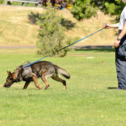 Dogline Viper Biothane Long Line 33 ft Lead with Brass Hardware - Angler's Pro Tackle & Outdoors