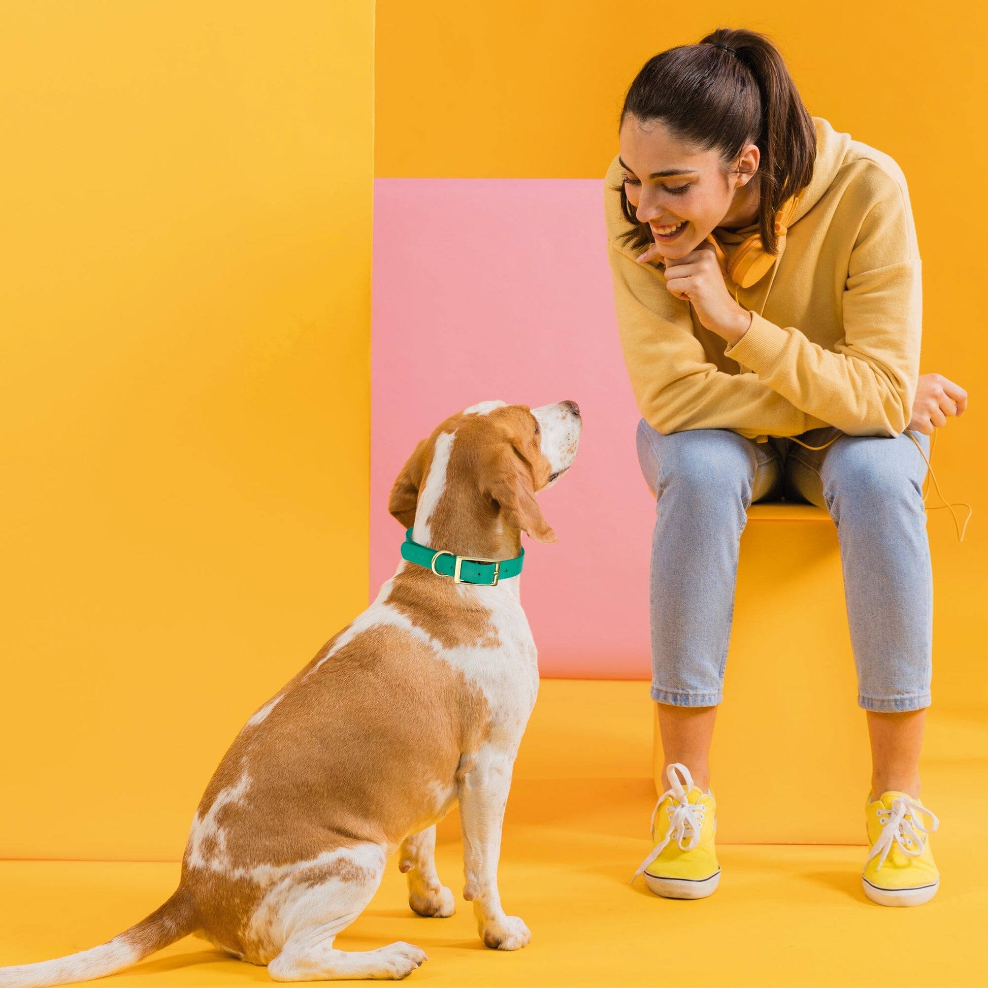 Dogline Viper Biothane Waterproof Dog Collar - Brass Hardware - Size S (12" - 15") - Angler's Pro Tackle & Outdoors