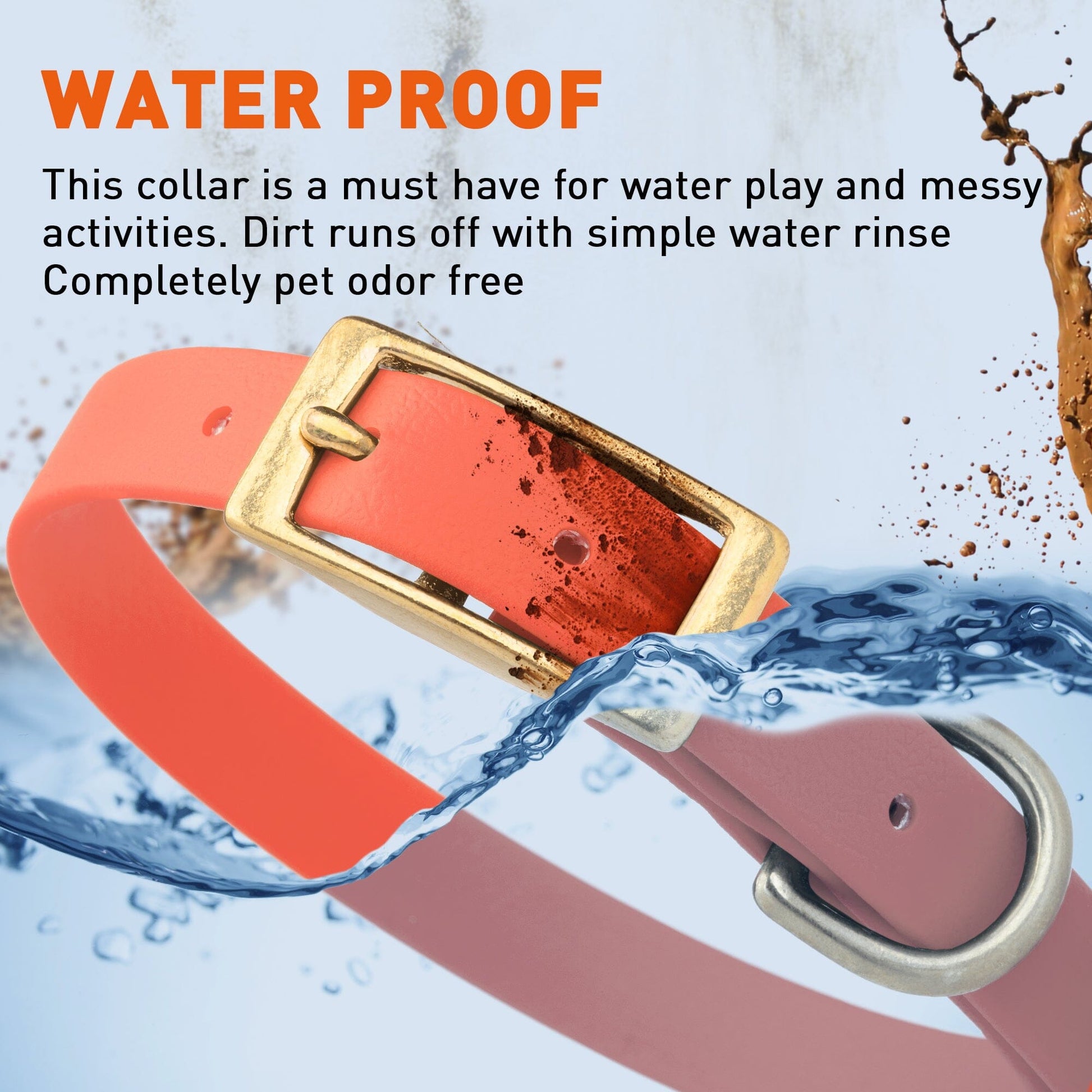 Dogline Viper Biothane Waterproof Dog Collar - Brass Hardware - Size S (12" - 15") - Angler's Pro Tackle & Outdoors
