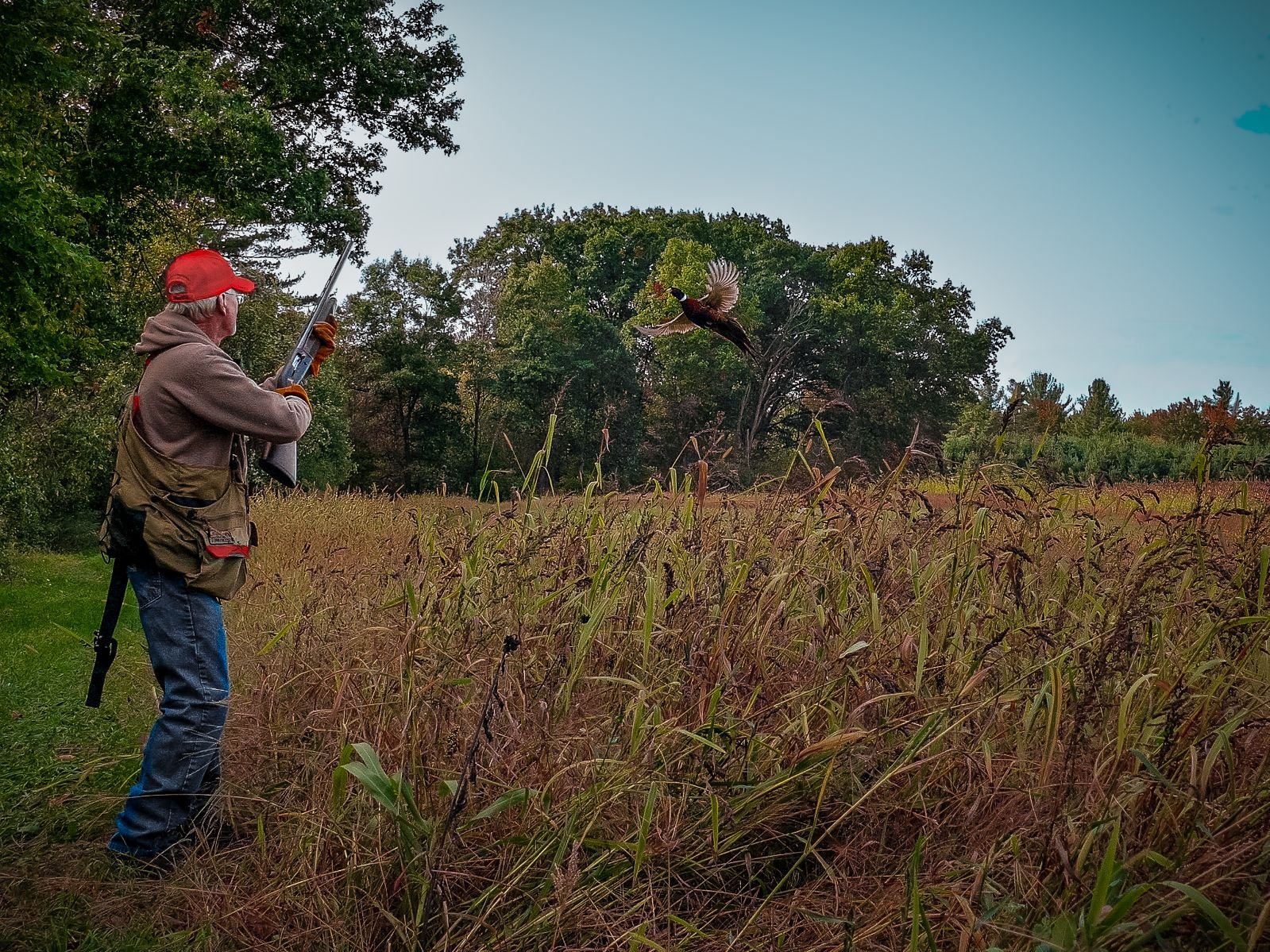 Domain Outdoor Dirty Bird™ - Angler's Pro Tackle & Outdoors