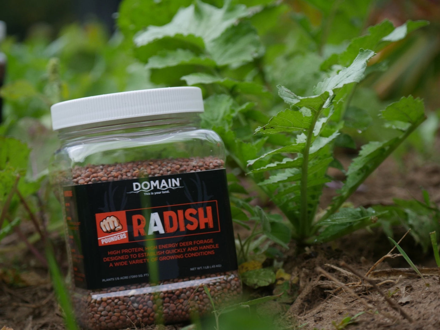 Domain Outdoor Pounder - Radish - Angler's Pro Tackle & Outdoors