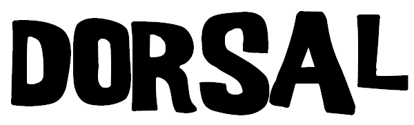 DORSAL Surfboard Fins Quad 4 Set FCS Compatible - Angler's Pro Tackle & Outdoors